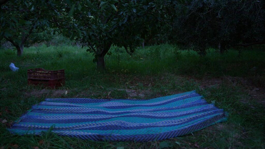 photogramme du film la nuit des pommes