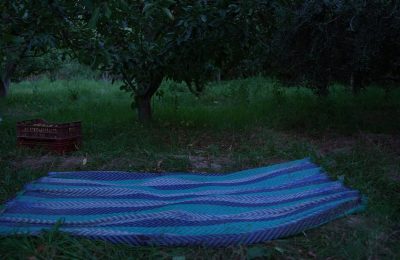 photogramme du film la nuit des pommes